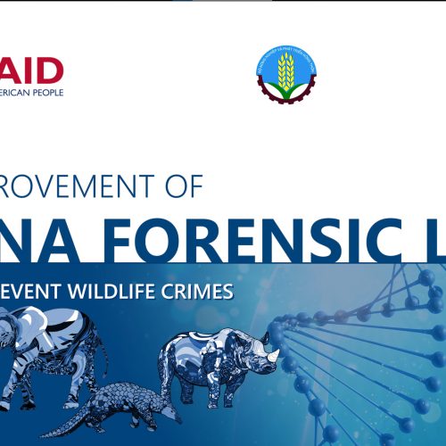 IMPROVEMENT OF DNA FORENSIC LAB